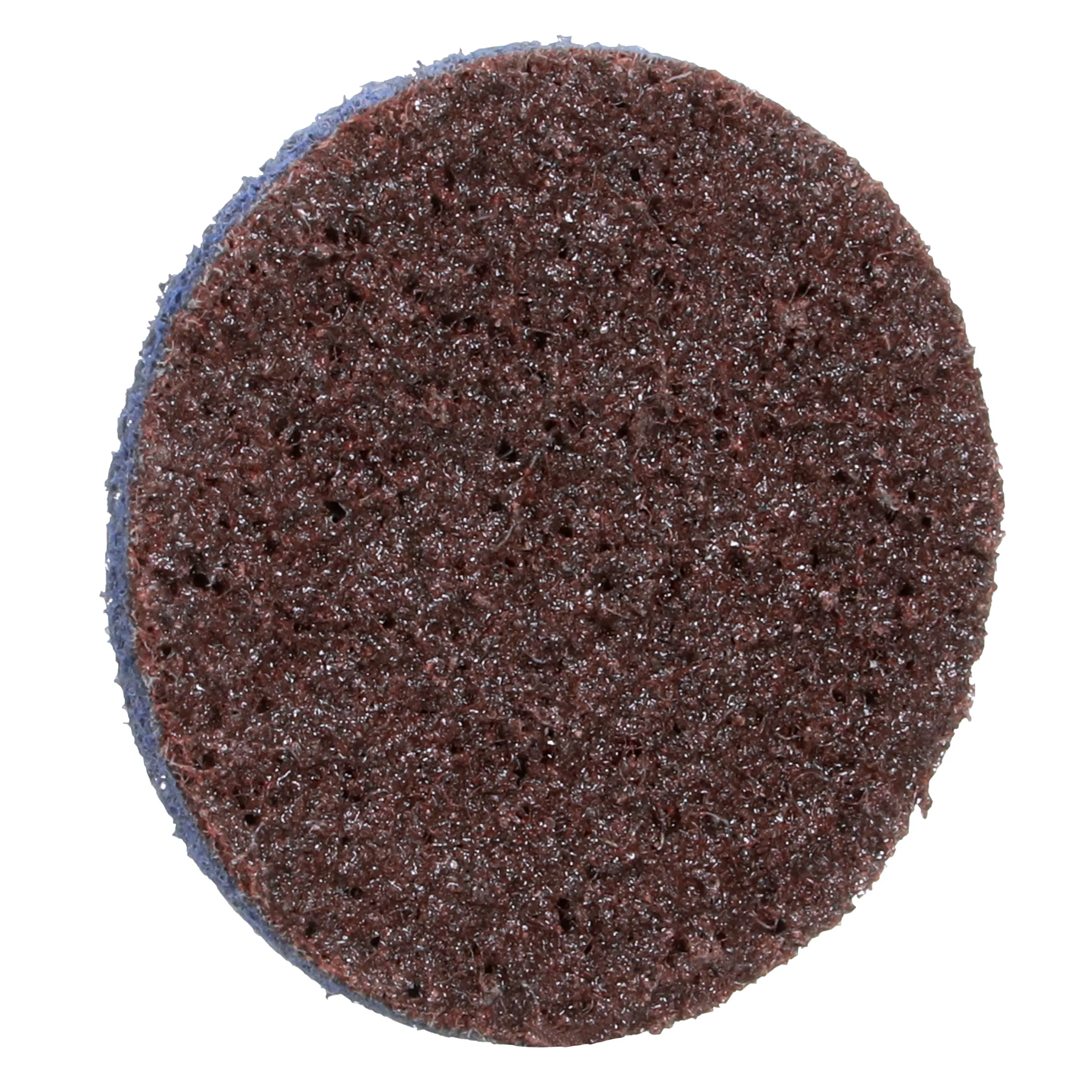 SKU 7010329102 | Scotch-Brite™ Roloc™ SE Surface Conditioning Disc